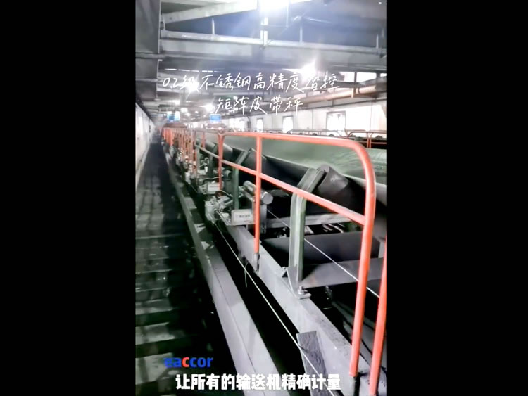 0.2級不銹鋼高精度智控矩陣皮帶秤